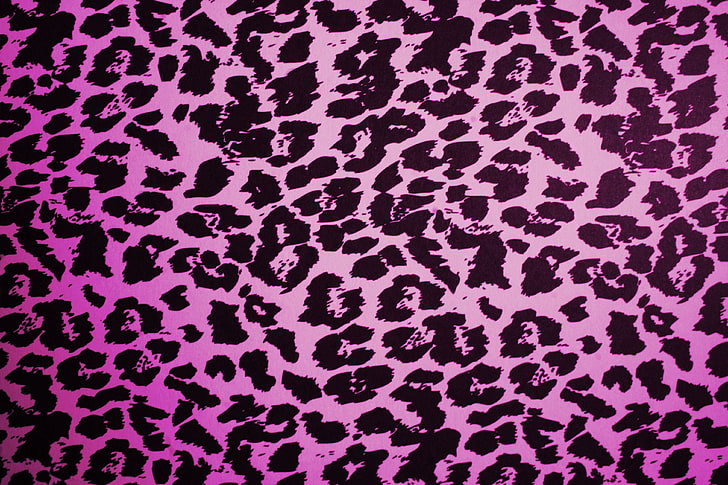 papel de parede de pele de leopardo, leopardo, rosa, textura, HD papel de parede