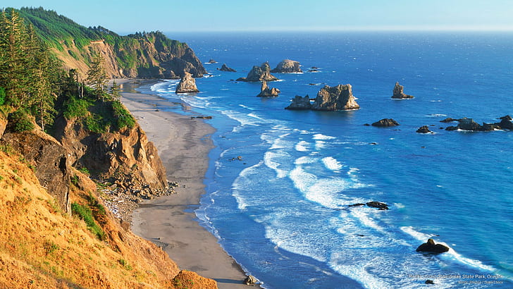 太平洋岸、ボードマン州立公園、オレゴン州、ビーチ、 HDデスクトップの壁紙