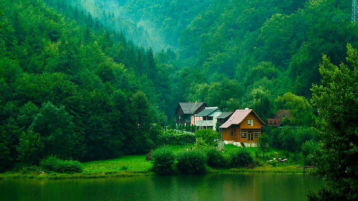 house, mountains, forest, lake, pine forest, HD wallpaper
