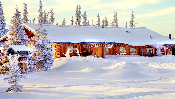 Vinter tjock snö, hus, träd, vinter, tjock, snö, hus, träd, HD tapet