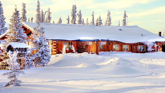 겨울 두꺼운 눈, 집, 나무, 겨울, 두꺼운, 눈, 집, 나무, HD 배경 화면 HD wallpaper