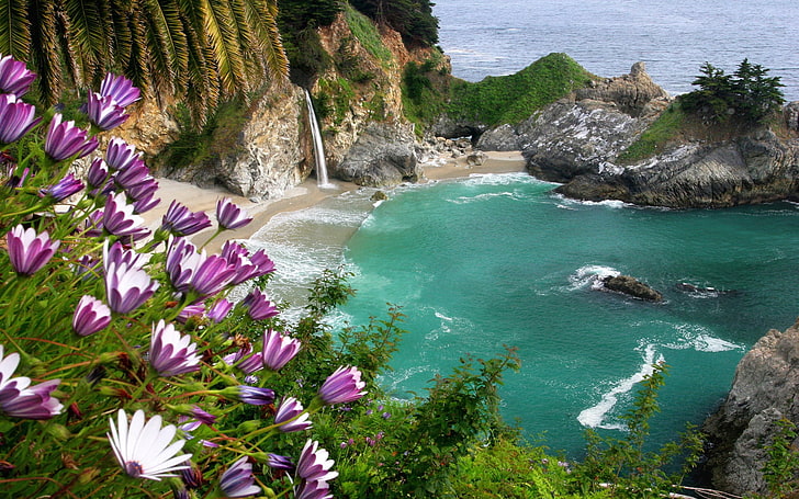 purple flowers and gray rocks, falls, flowers, foreground, coast, beach, sea, rocks, cloudy, HD wallpaper