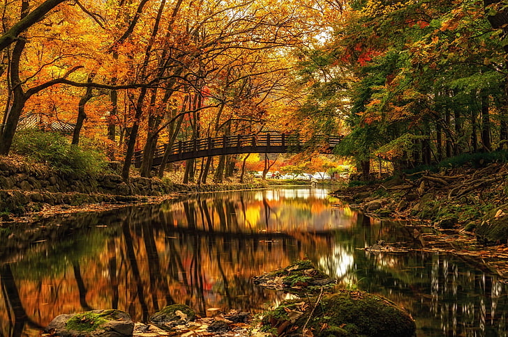 湖の茶色の木製の橋、水、自然、風景、水、木、森、川、橋、秋、枝、石、反射の穏やかな体の上の橋の風景水反射写真、 HDデスクトップの壁紙