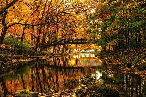 puente de madera marrón en el lago, fotografía reflexiva del agua del paisaje del puente sobre el cuerpo de agua tranquilo, naturaleza, paisaje, agua, árboles, bosque, río, puente, otoño, rama, piedras, reflexión, Fondo de pantalla HD HD wallpaper
