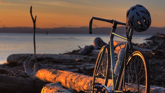 czarno-szary rower szosowy, rower, krajobraz, drewno, pojazd, kask, fixie, Tapety HD HD wallpaper