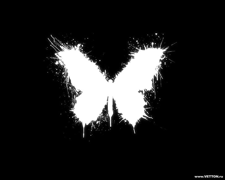пеперуда тапет, пеперуда, минимализъм, монохромен, черен фон, черен, бял, пръскане на боя, HD тапет