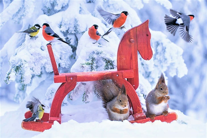 Birds, Bullfinch, Animal, Bird, Rocking Horse, Snow, Squirrel, Winter, HD wallpaper