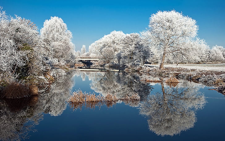 Winter, Lake, Trees, HD, HD wallpaper