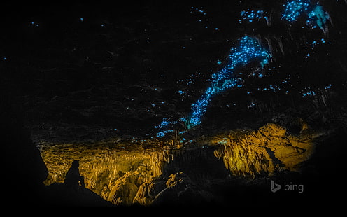 Waitomo Glowworm Caves Нова Зеландия-2016 Bing Deskt .., HD тапет HD wallpaper