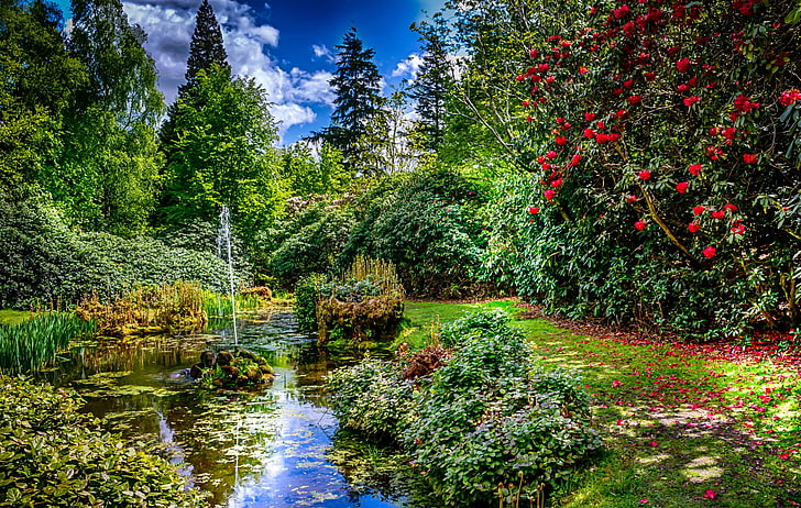 Grüns, Gras, Bäume, Teich, Park, Blütenblätter, UK, Brunnen, die Büsche, Jet, Blumen, Tatton Park, Knutsford, HD-Hintergrundbild