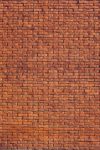 muro di mattoni, muro, tessitura, mattoni, luce, Sfondo HD HD wallpaper