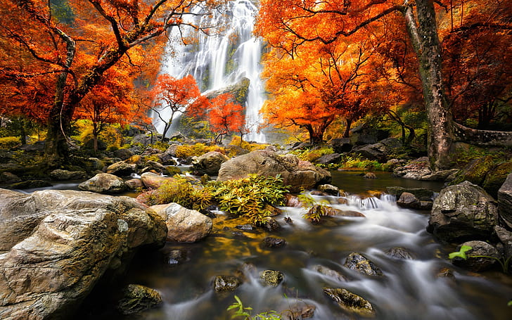 秋、森、滝、木、紅葉、時間経過の川の写真、秋、森、滝、木、赤、葉、 HDデスクトップの壁紙