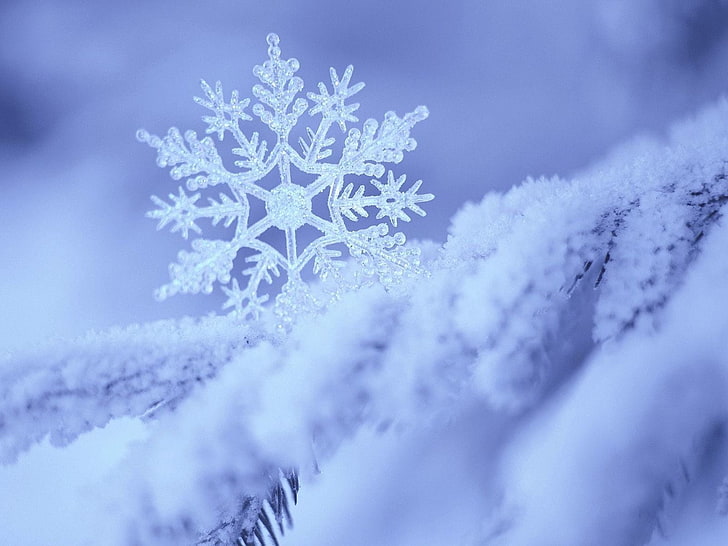 snowflakes illustration, snow, snowflake, winter, form, pattern, HD wallpaper