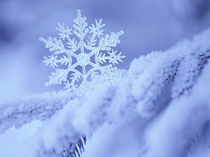 Schneeflocken Illustration, Schnee, Schneeflocke, Winter, Form, Muster, HD-Hintergrundbild HD wallpaper