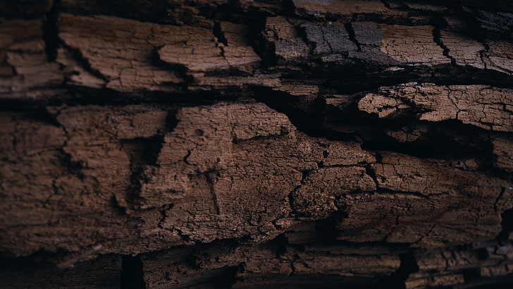brown driftwood, log, wood, HD wallpaper