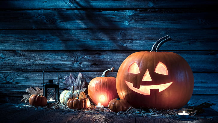 Празник, Хелоуин, 31 октомври, домакин на тиква, HD тапет