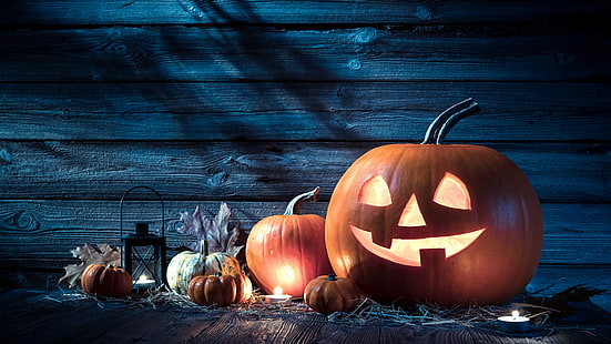 عطلة ، عيد الهالوين ، 31 أكتوبر ، مضيف اليقطين، خلفية HD HD wallpaper