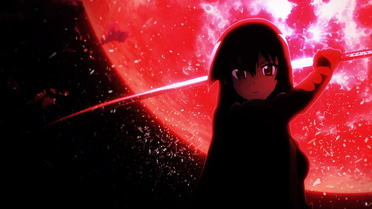 Akame Anime Girl-Design Desktop-Hintergründe, HD-Hintergrundbild