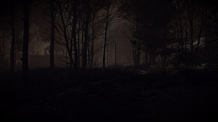 The Witcher 3: Wild Hunt, video games, dark, forest, brown, HD wallpaper