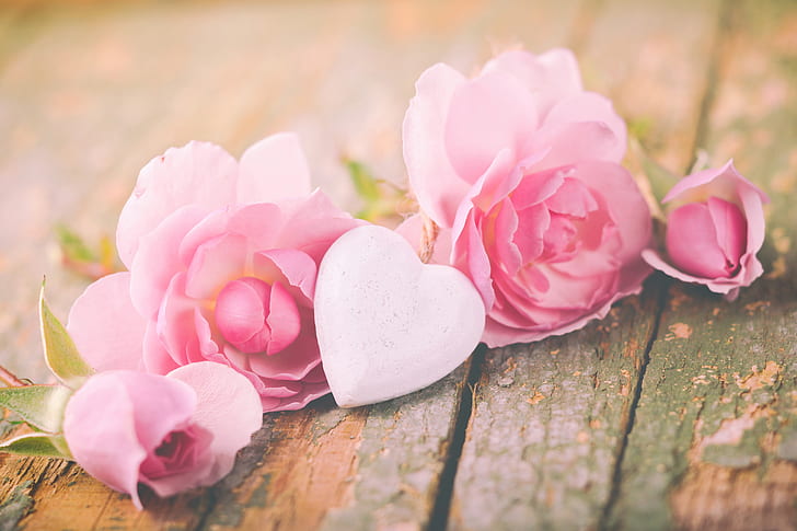 Holiday, Valentine's Day, Flower, Heart, Pink Flower, Rose, HD wallpaper |  Wallpaperbetter