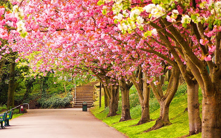 nature, 1920x1200, Spring, Lovely, colours, of england, england nature, HD wallpaper