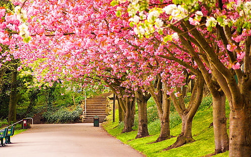 природа, 1920x1200, Пролет, Прелестен, цветове, на Англия, Англия природа, HD тапет HD wallpaper