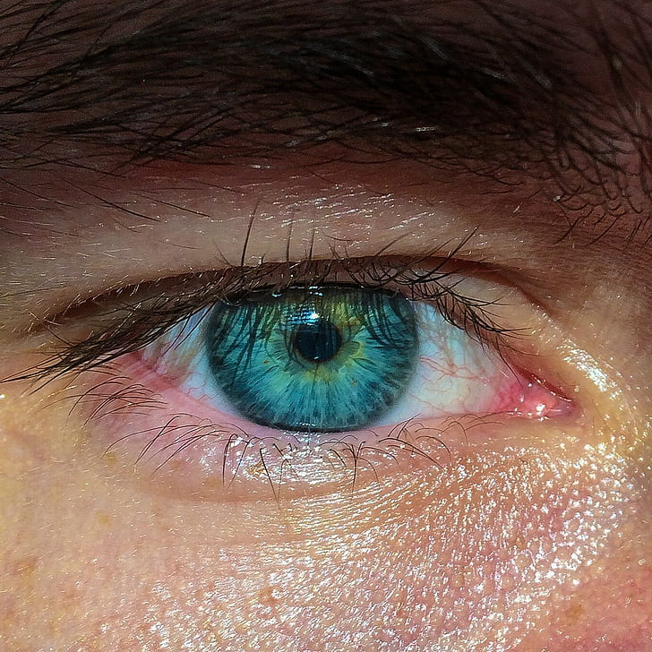 olhos, luz solar, olhos azuis, HD papel de parede