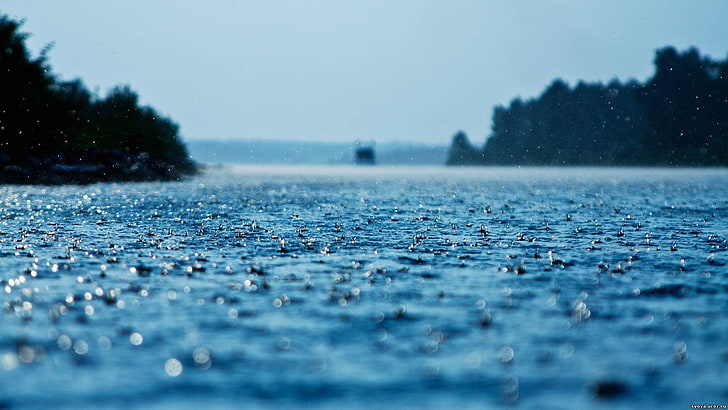 kedalaman lapangan, danau, air, hujan, alam, lanskap, tetesan air, Wallpaper HD