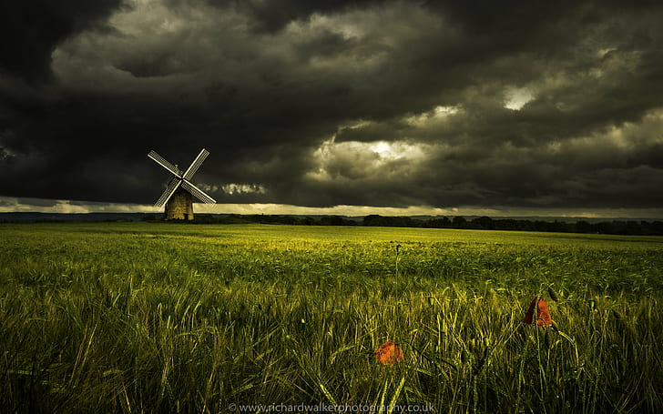 painting of grass fields near brown and gray windmill under a black and gray sky, Windmill, Poppies, painting, grass, fields, brown, black and gray, clouds, field, landscape photography, stormy, rural Scene, agriculture, nature, cloud - Sky, sky, landscape, farm, HD wallpaper