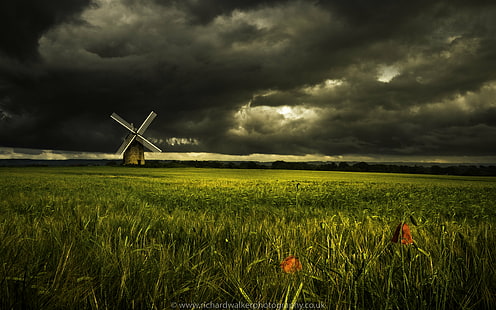 painting of grass fields near brown and gray windmill under a black and gray sky, Windmill, Poppies, painting, grass, fields, brown, black and gray, clouds, field, landscape photography, stormy, rural Scene, agriculture, nature, cloud - Sky, sky, landscape, farm, HD wallpaper HD wallpaper