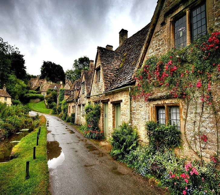 마을, 꽃, 집, HD 배경 화면