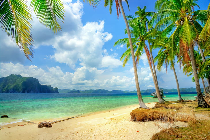 Samudra biru dan pantai, tropis, firdaus, pantai, pantai, laut, biru, zamrud, samudra, kelapa sawit, musim panas, pasir, liburan, Wallpaper HD