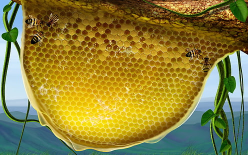 ハニカムと蜂、葉、蜂、蜂蜜、 HDデスクトップの壁紙 HD wallpaper