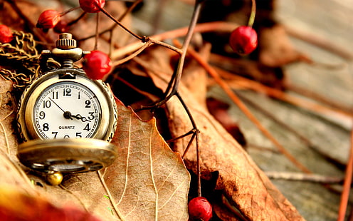 Красив реколта часовник, златен джобен часовник, часовници, фон, есенни листа, HD тапет HD wallpaper