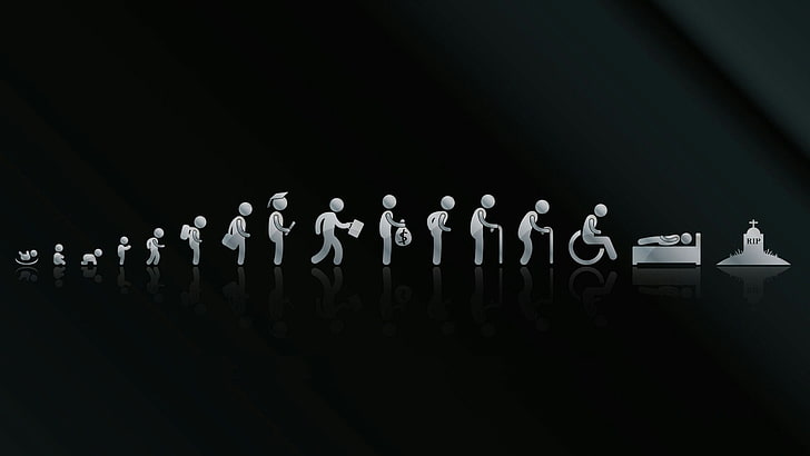 evolution, life, life cycle, life cycles, funny, HD wallpaper