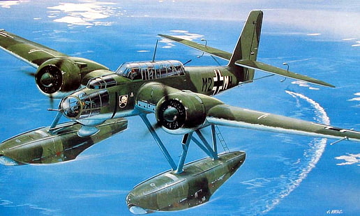 World War II, airplane, aircraft, military, military aircraft, Luftwaffe, Germany, HD wallpaper HD wallpaper