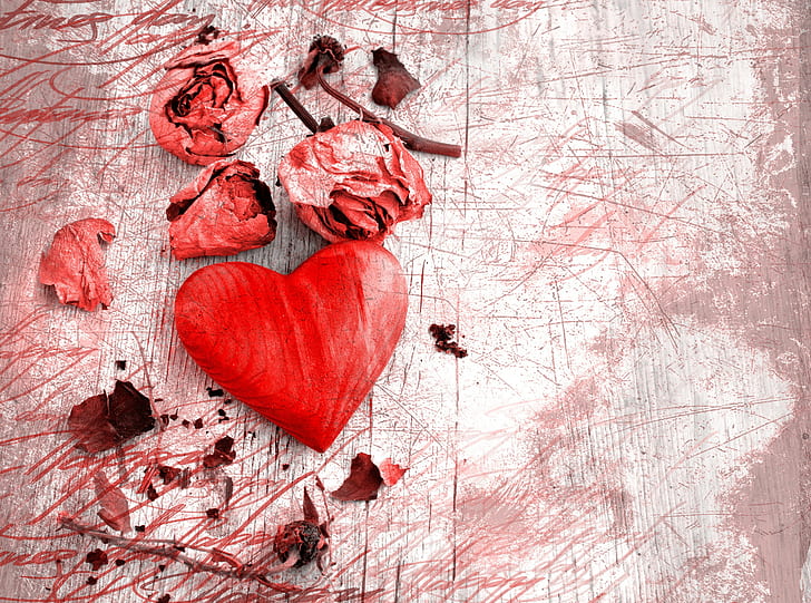 Kelopak mawar, jantung, kelopak mawar, Wallpaper HD