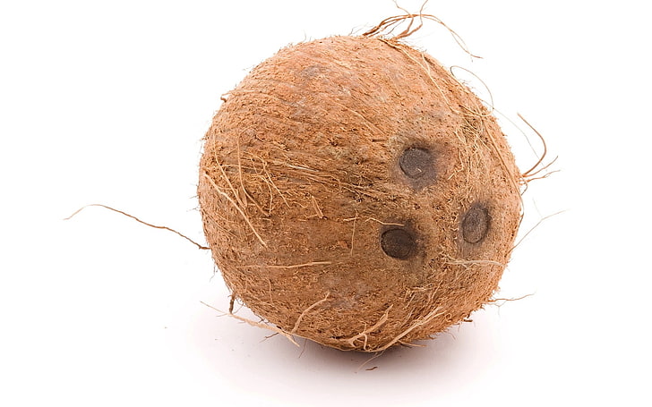 кокосова черупка, кокос, плод, зрял, HD тапет