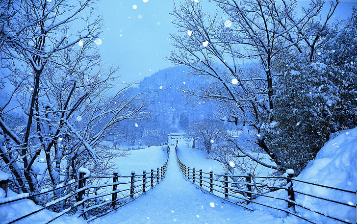 winter, forest, snow, trees, mountains, snowflakes, bridge, blue, Japan, Shirakawa-go, Gokayama, HD wallpaper