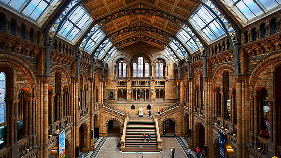 Англия, Лондон, лестница, сцена, зал, Музей естествознания, HD обои HD wallpaper