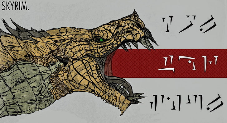 cartaz de Skyrim de dragão marrom e verde, The Elder Scrolls V: Skyrim, videogame, dragão, arte de fantasia, HD papel de parede