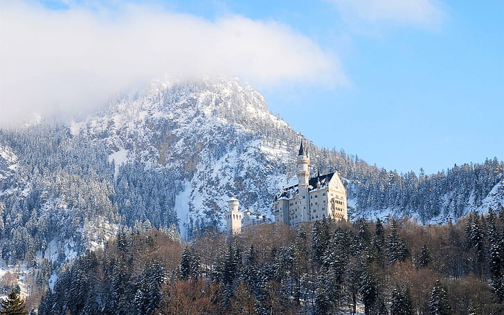 Neuschwanstein, Germany, Bavaria, castle, winter, trees, Neuschwanstein, Germany, Bavaria, Castle, Winter, Trees, HD wallpaper