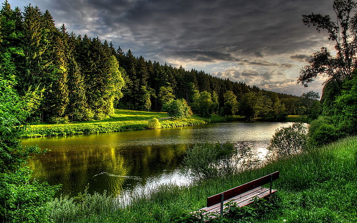 brown wooden bench, lake, forest, bench, nature, HD wallpaper