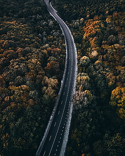 asphalt, aerial, forest, road, highway, HD wallpaper HD wallpaper