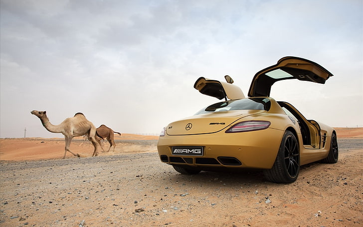amarillo Mercedes-Benz AMG gullwing, coche, Mercedes-Benz SLS AMG, desierto, camellos, animales, Fondo de pantalla HD