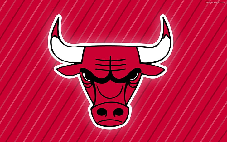 Chicago Bulls, bulls, twitter, background, 1920x1200, 4k pics, HD wallpaper