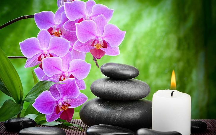 Religiös, Zen, Kerze, Blume, Blatt, Licht, Orchidee, HD-Hintergrundbild