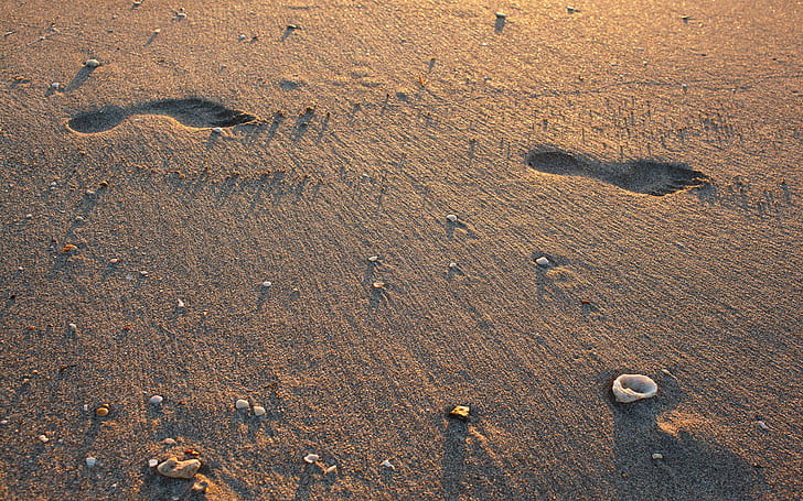 Beach Footprints Sand Shadow HD, natura, plaża, piasek, cień, ślady, Tapety HD