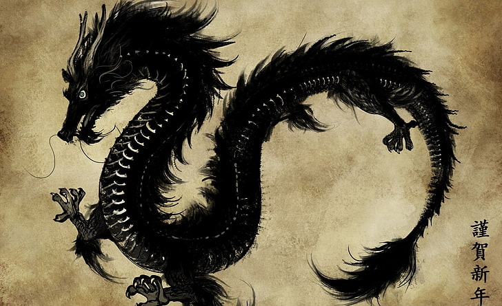 Dragão preto chinês, papel de parede dragão preto, vintage, preto, dragão, chinês, HD papel de parede