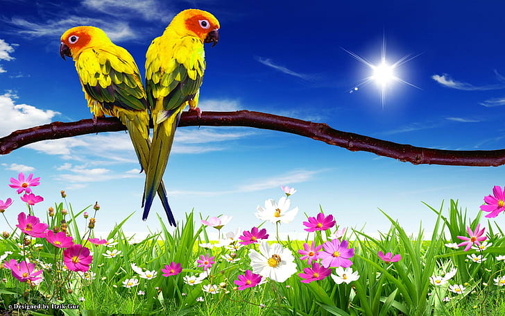Pair Parrots Over Flowers, parrots, colours, flowers, beauty, animals, HD wallpaper